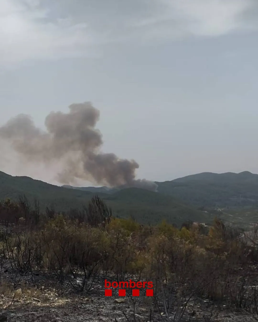 ACTUALITZACIÓ: Els Bombers estabilitzen un cinquè incendi a Aiguamúrcia que ha cremat 1,5 hectárees