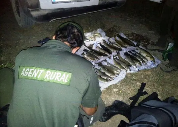 Intervenció per pesca furtiva de truites a Oliana