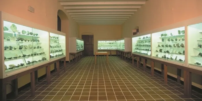 El Museu d'Arenys presenta la memòria 2014