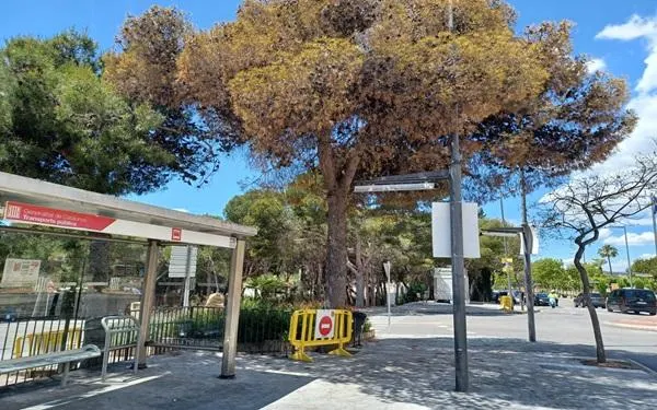 Foto: Altafulla Ràdio