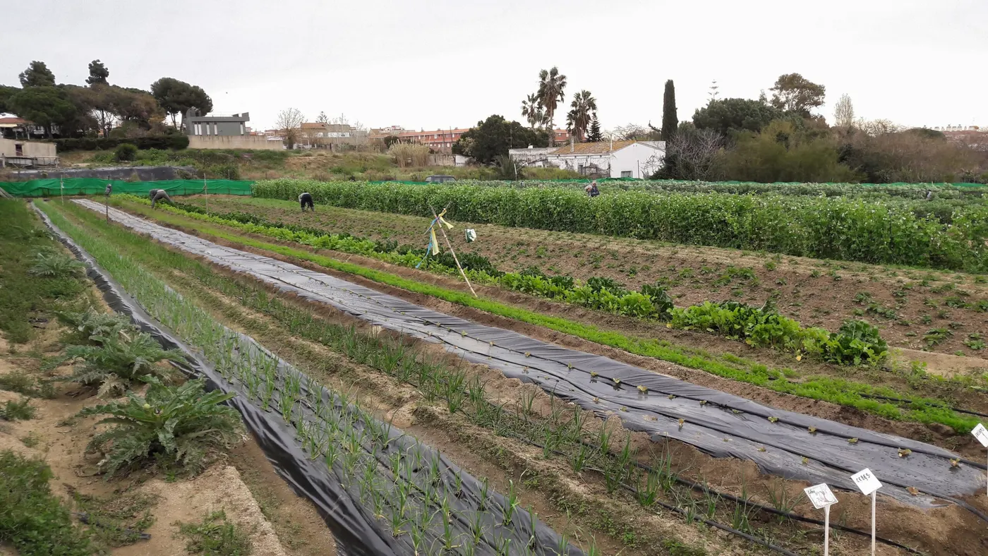 Entrem a l’Hort Social de Premià de Mar