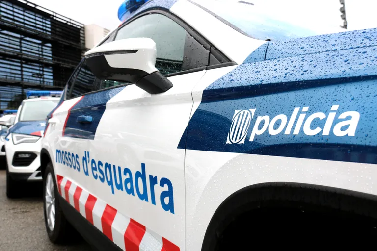 Detenen tres multireincidents per cometre dos furts a l'AP-7 entre Maçanet i Riudellots amb el mètode de la roda punxada