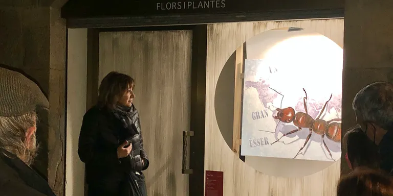 Vint artistes solsonins participen al circuit artístic en aparadors Mira l'Art