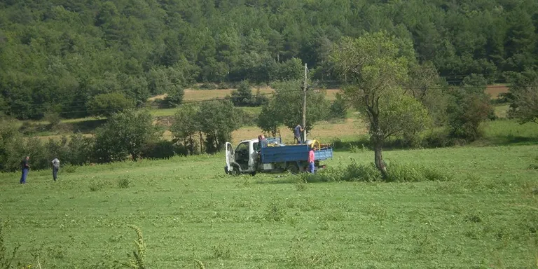 Un dia i mig sense servei telefònic al Pla de Sant Tirs per un robatori de cable de coure