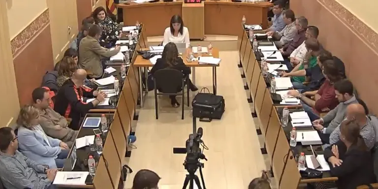 Ple ordinari de març 2019