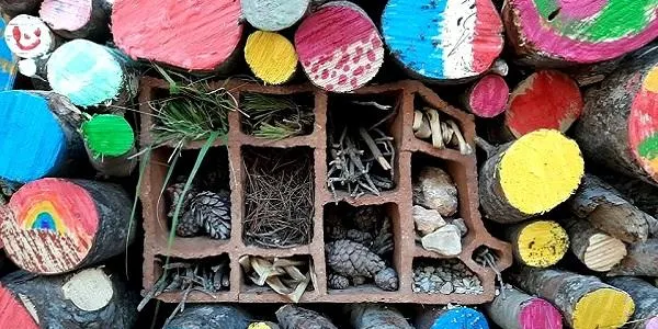 L’Escola de Naturalistes d’Altafulla iniciarà una nova activitat extraescolar el proper dimarts a la Finca Canyadell