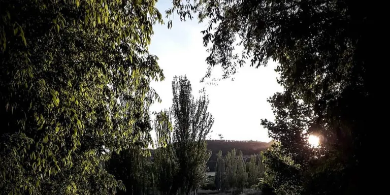 La Via Verda de la Noguera Baixa, entre els projectes de Naturalment Lleida