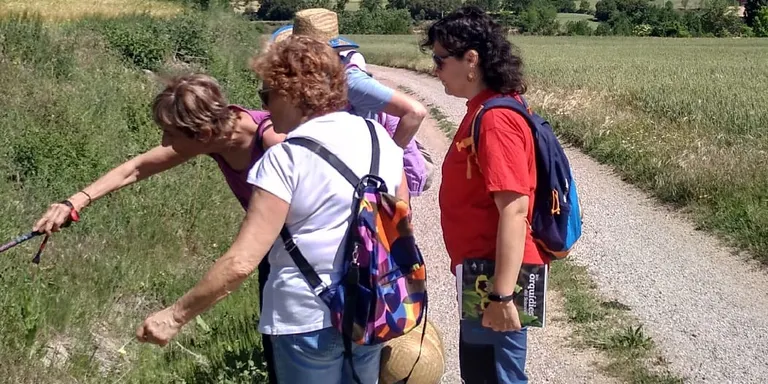 La regidoria de Drets Socials amplia les propostes per a la gent gran reprenent l'activitat de passeig per la natura