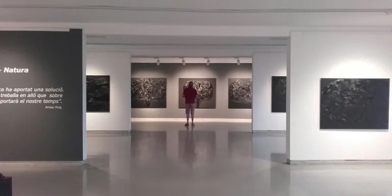 Perecoll presenta del 18 al 30 de juny al Museu Monjo l’exposició “Negre+Natura”