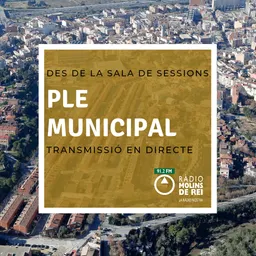 Ple municipal del 24/9/2014 - episode art