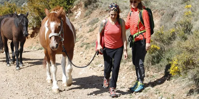 Una vintena de voluntaris fan la primera etapa de la transhumància de cavalls del Projecte Miranda