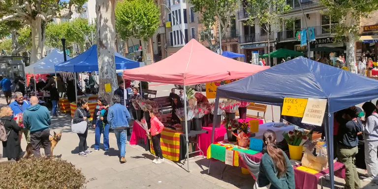 Bon balanç en la venda de llibres i roses a Arenys durant aquest Sant Jordi