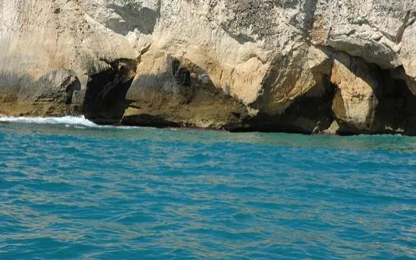 Foto: Ajuntament de Torredembarra