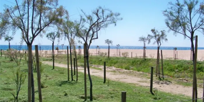 La regidoria de Medi Ambient farà demà una sortida guiada per la platja del Cavaió