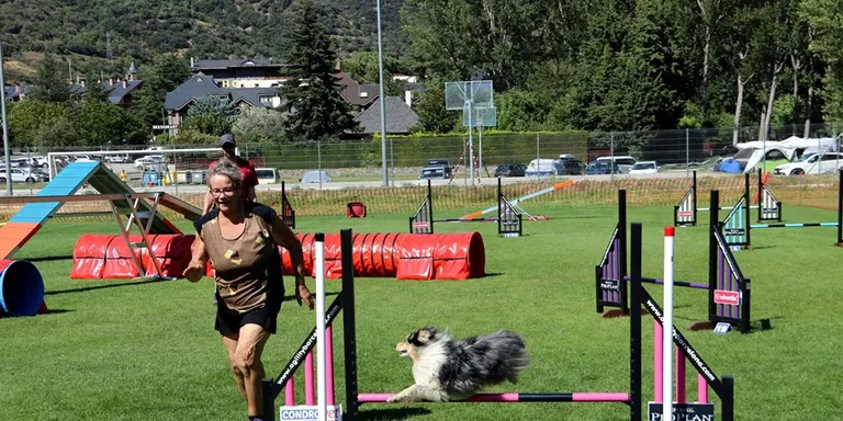 Més de 300 gossos competeixen a la Rialp Summer Agility