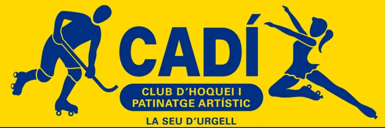 Derrota de l'Hoquei Cadí sènior amb l'Alpicat (5-6)