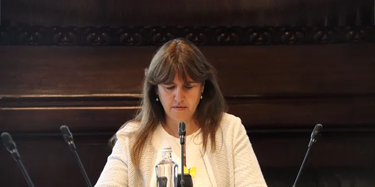 El TC notifica al Parlament l'anul·lació de la delegació de vot del diputat de Junts Lluís Puig