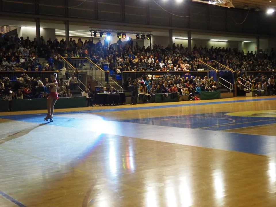 Gala de Campions de Patinatge, al Palau d'Esports de la Seu