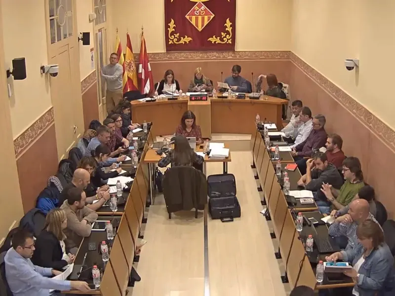 Ple ordinari abril 2019