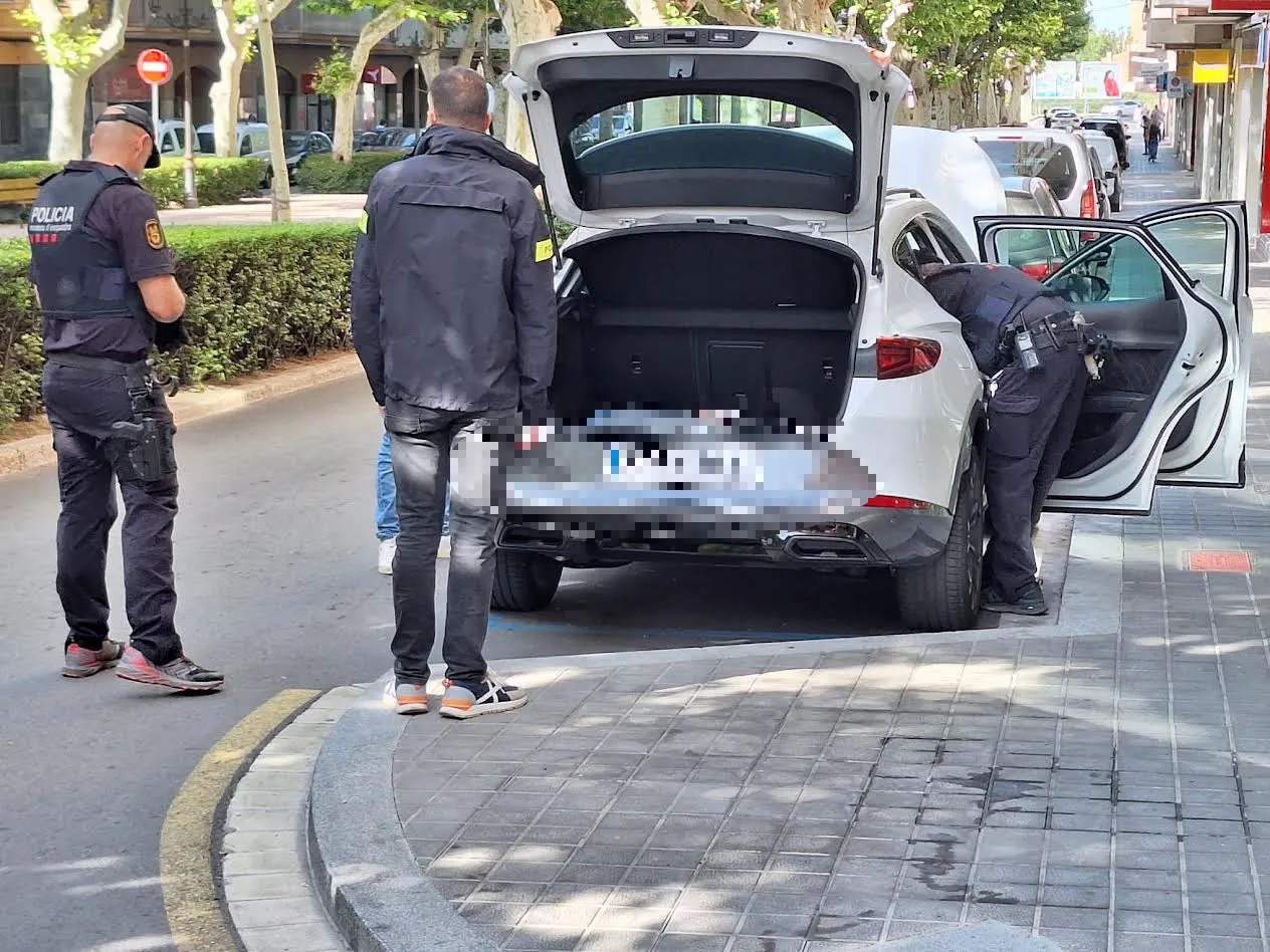 Una persona detinguda a Valls en l’operació antidroga al Camp de Tarragona i les Terres de l’Ebre