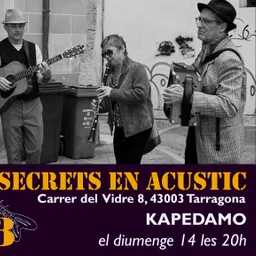 Cicle de Concerts en Secrets en Acústic - episode art