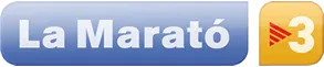 Activitats a la Seu a favor de La Marató