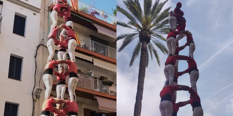 Sant Jordi de gamma bàsica de 8 de les colles vallenques