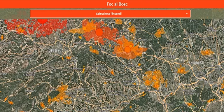 Una nova aplicació web vol sensibilitzar sobre els efectes dels incendis forestals