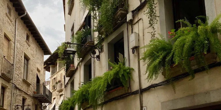 Dilluns s’obren les inscripcions al 36è Concurs de flors als balcons