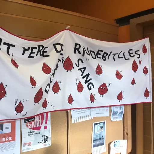 Jornada donació especial de Sang a Sant Pere de Riudebitlles.