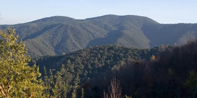 El CCM fa una jornada per informar sobre els efectes del canvi climàtic als boscos
