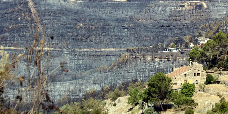 La gestió forestal, clau perquè el foc del Bages no hagi afectat més el Parc Natural de Sant Llorenç del Munt i l'Obac