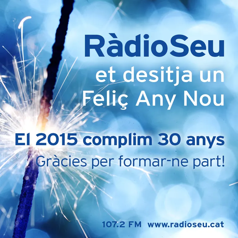L'equip de RàdioSeu et desitja un Feliç 2015!