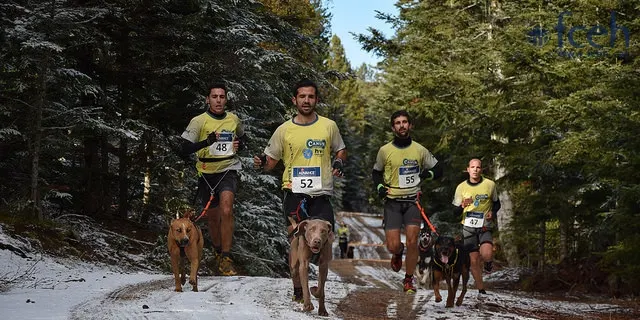 Sant Joan de l'Erm estrena la Copa Gos Àrtic de múixing sobre terra
