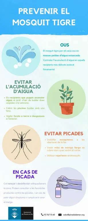 L'Ajuntament de Pineda fa campanya per prevenir l'expansió del mosquit tigre