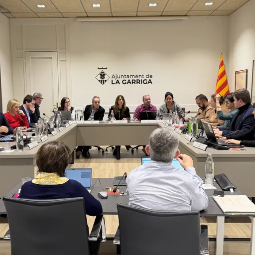 Ple municipal
