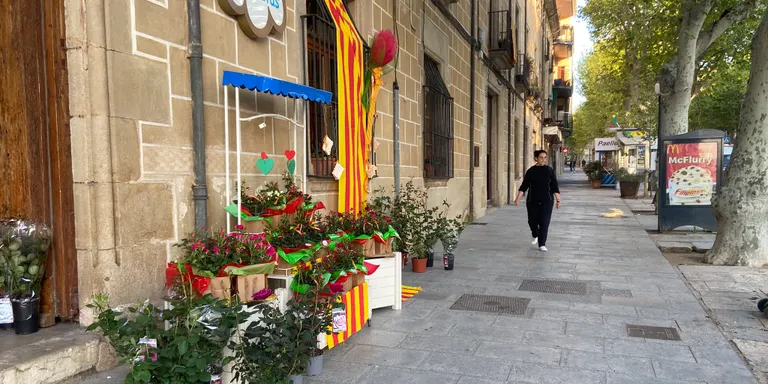 El roser pitiminí 'ha arrasat' aquest Sant Jordi a les floristeries d'Arenys