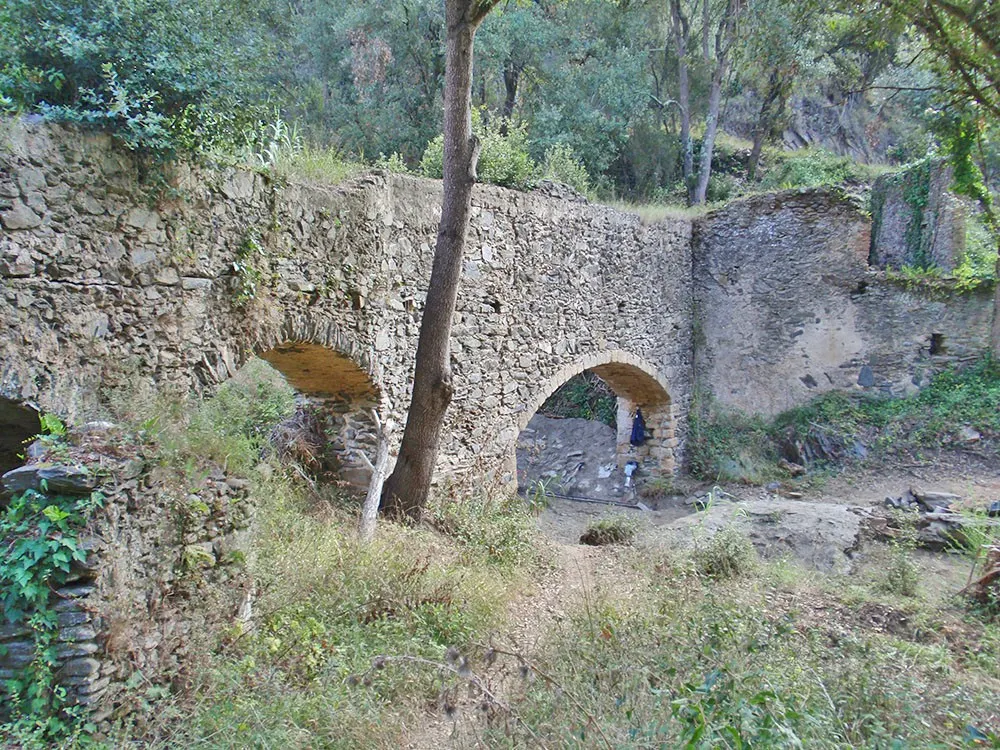 Ruta guiada per Sant Pere de Riu i descoberta de Ca n'Esteve Burgada