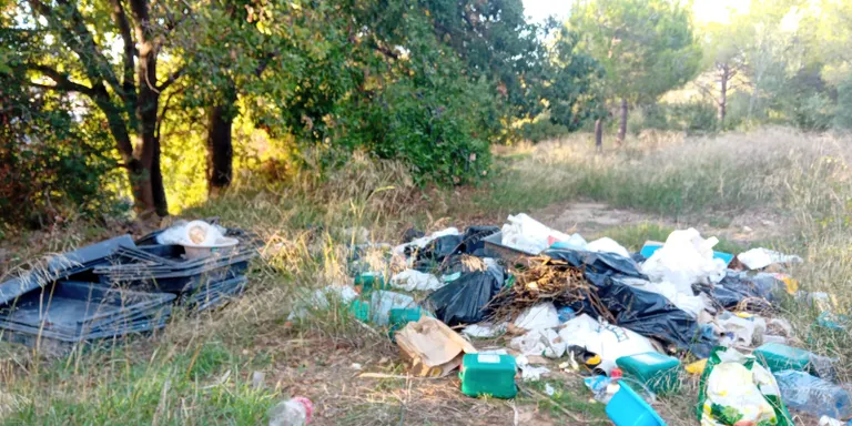 Arba Litoral denuncia un abocament a la roureda centenària de les Bassetes pendent de resoldre des del setembre