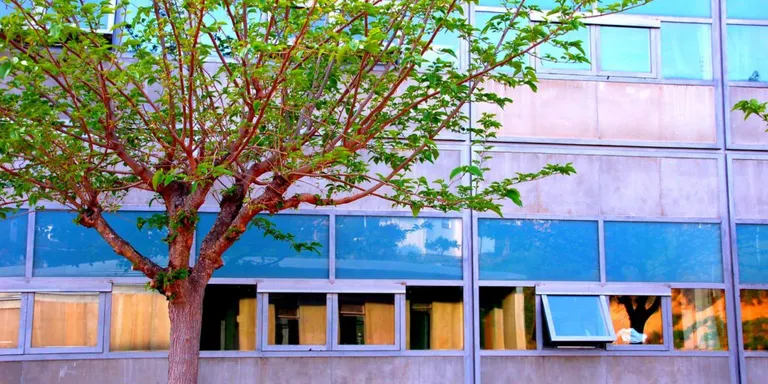 Compromís interpel·la el Consell Comarcal sobre la formació professional al sud de l'Alt Urgell