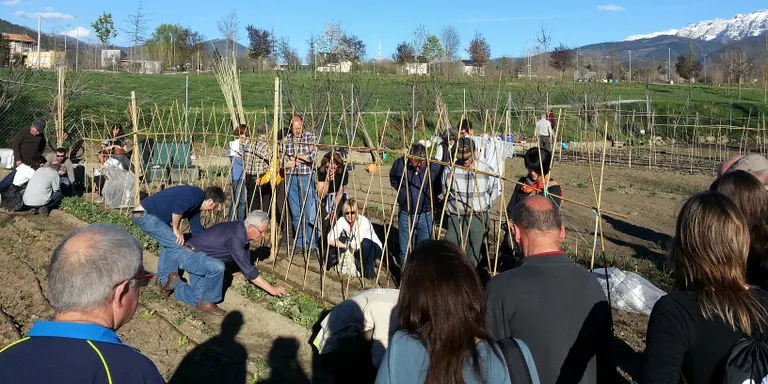 Nou curs gratuït d'horticultura a la Seu