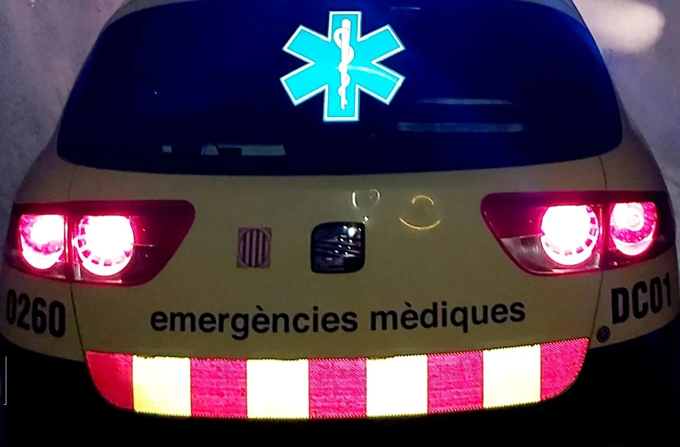 Mor un dels quatre accidentats dilluns a la nit a la sortida de la C-32 a causa d'un senglar
