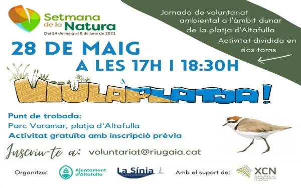 Les dunes de Voramar ja estan a punt per rebre les últimes plantacions