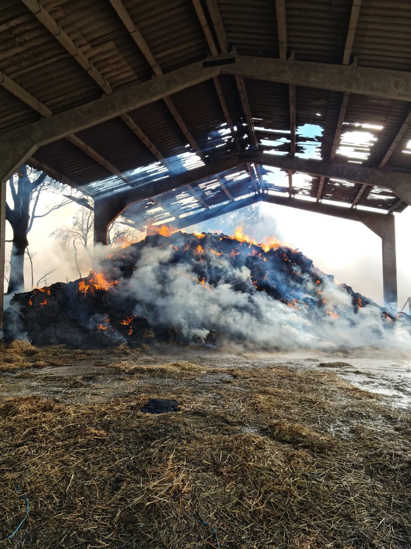 Un incendi crema un paller als afores de Solsona