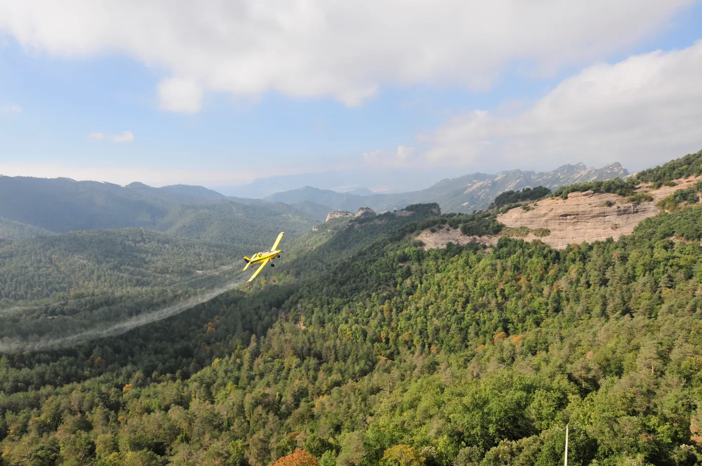 La campanya de tractaments aeris pel control de la processionària fumigarà 3.400 hectàrees al Solsonès