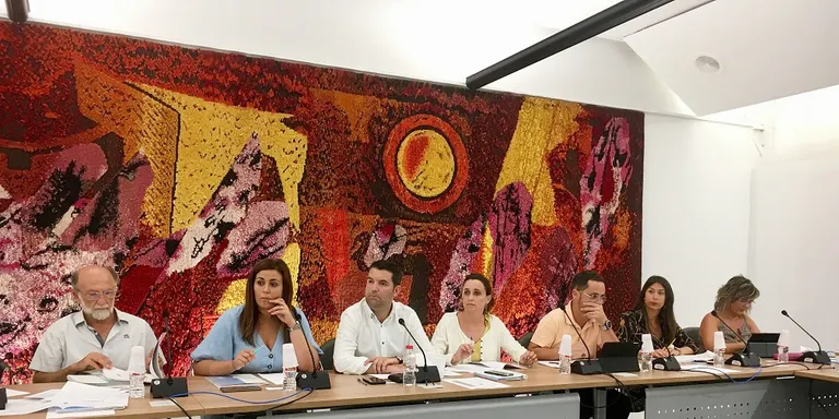 El ple municipal de Pineda: punts destacats i torn obert de paraules