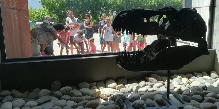 Prop de 6.000 persones han participat aquest estiu en les activitats de Dinosfera i el Museu de la Conca Dellà