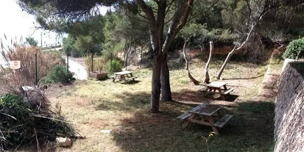 La regidoria de Medi Ambient i el GEPEC organitzen diumenge una gimcana familiar al voltant del Canyadell