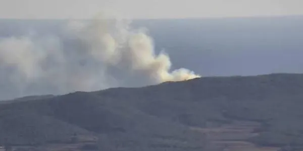 Un incendi forestal a Roda de Berà crema una superfície d'1,6 hectàrees