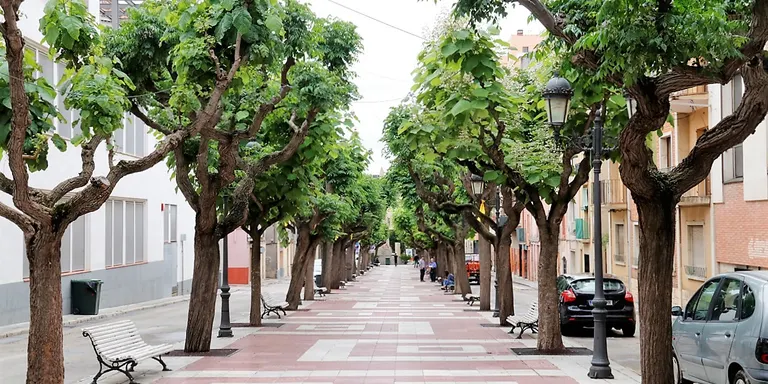 Aprovació definitiva del projecte de reurbanització del passeig dels Caputxins
